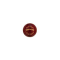 SG Cricket Ball Bouncer
