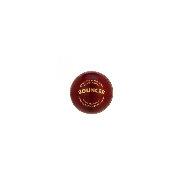 SG Cricket Ball Bouncer